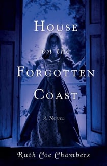House on the Forgotten Coast - A Novel
