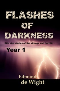 Flashes of Darkness Year 1 - Flashes of Darkness, #1