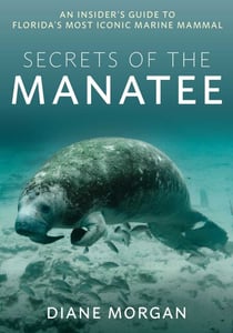 Secrets of the Manatee - An Insider's Guide to Florida's Most Iconic Marine Mammal