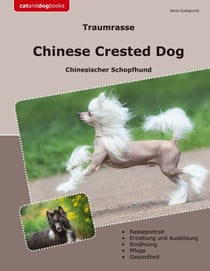 Traumrasse Chinese Crested Dog - Chinesischer Schopfhund