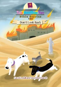 Don't Look Back - The BackYard Trio Bible Stories, #5