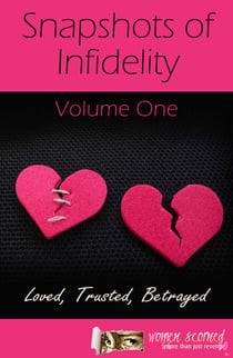 Snapshots of Infidelity - Vol One