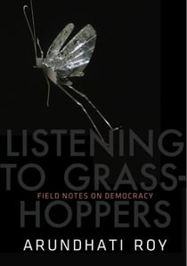 Listening to Grasshoppers - Field Notes on Democracy