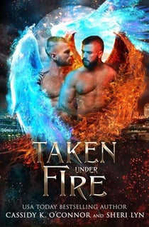 Taken Under Fire - Paranormal Investigative Services, #3