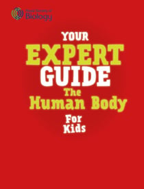 The Human Body for Young Scientists