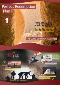 Perfect Redemption Plan 1 - Perfect Redemption Plan, #1