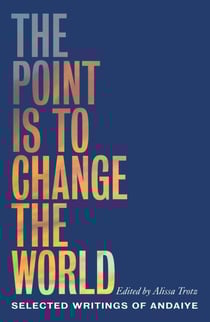 The Point Is to Change the World - Selected Writings of Andaiye