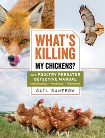 What's Killing My Chickens? - The Poultry Predator Detective Manual