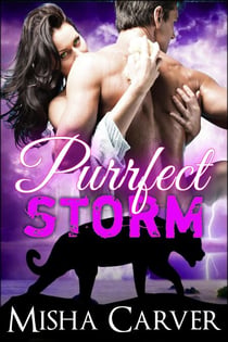 Purrfect Storm - Purrfect Mates, #2