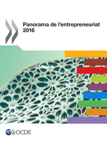 Panorama de l'entrepreneuriat 2016