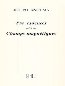 Pas cadencés - Suivi de Champs magnétiques