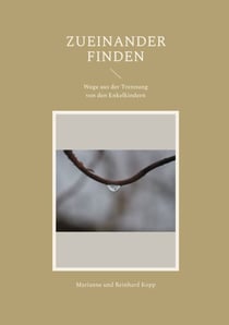 Zueinander finden - Wege aus der Trennung von den Enkelkindern