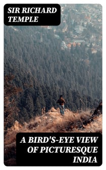 A Bird's-Eye View of Picturesque India