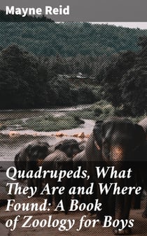 Quadrupeds, What They Are and Where Found: A Book of Zoology for Boys