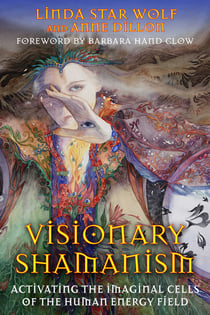 Visionary Shamanism - Activating the Imaginal Cells of the Human Energy Field
