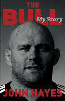The Bull - My Story
