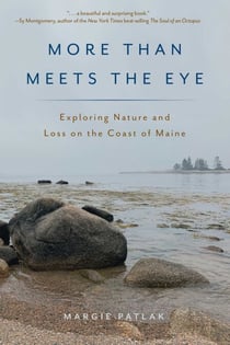 More Than Meets the Eye - Exploring Nature and Loss on the Coast of Maine