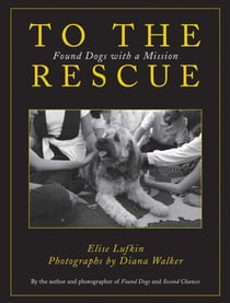 To the Rescue - Found Dogs with a Mission