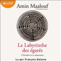 Le Labyrinthe des égarés - L'Occident et ses adversaires