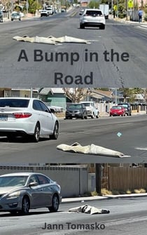 A Bump in the Road
