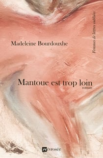 Mantoue est trop loin - Roman