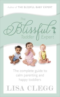 The Blissful Toddler Expert - The complete guide to calm parenting and happy toddlers