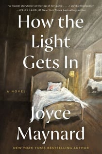 How the Light Gets In - A Novel