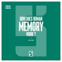 How Does Human Memory Work ?