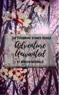 Adventure Unwanted - EverMore Stones Series, #1