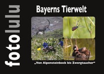 Bayerns Tierwelt - Von Alpensteinbock bis Zwergtaucher