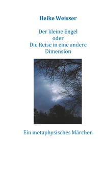 Der kleine Engel oder Die Reise in eine andere Dimension - Ein metaphysisches Märchen