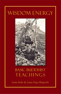 Wisdom Energy - Basic Buddhist Teachings