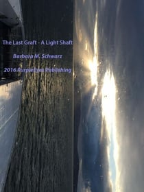 The Last Graft - A Light Shaft