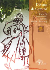 Dix ans de Camino - Tome III