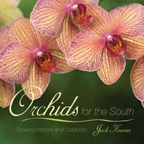 Orchids for the South - Growing Indoors and Outdoors