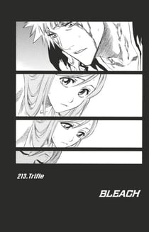 Bleach - T24 - Chapitre 213 - trifle