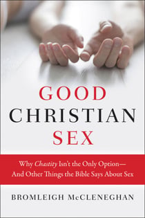 Good Christian Sex - Why Chastity Isn't the Only Option-And Other Things the Bible Says About Sex