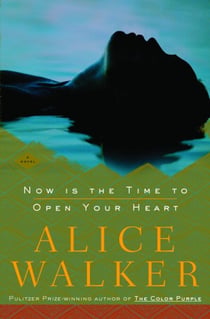 Now Is the Time to Open Your Heart - A Novel