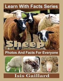Sheep Photos and Facts for Everyone - Learn With Facts Series, #95