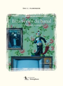 Bizarreries du banal - 13 histoires étranges