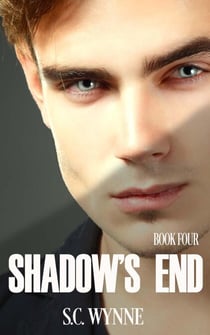 Shadow's End - Psychic Mysteries Series, #4