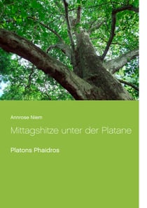 Mittagshitze unter der Platane - Platons Phaidros