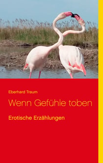 Wenn Gefühle toben - Erotische Erzählungen