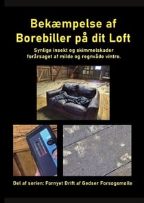Bekæmpelse af Borebiller på dit Loft - Synlige insekt og skimmelskader forårsaget af milde og regnvåde vintre.
