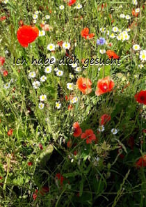 Ich habe dich gesucht
