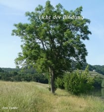 Licht der Bindung - Eine Liebesgeschichte