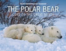 The Polar Bear - Lord of the Great North