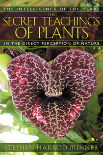 The Secret Teachings of Plants - The Intelligence of the Heart in the Direct Perception of Nature