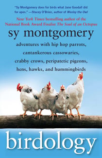 Birdology - Adventures with a Pack of Hens, a Peck of Pigeons, Cantankerous Crows, Fierce Falcons, Hip Hop Parrots, Baby Hummingbirds, and One Murderously Big Living Dinosaur (t)