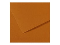 Feuille MI-TEINTES® Canson - 50 x 65 cm - 160g/m² - havane clair